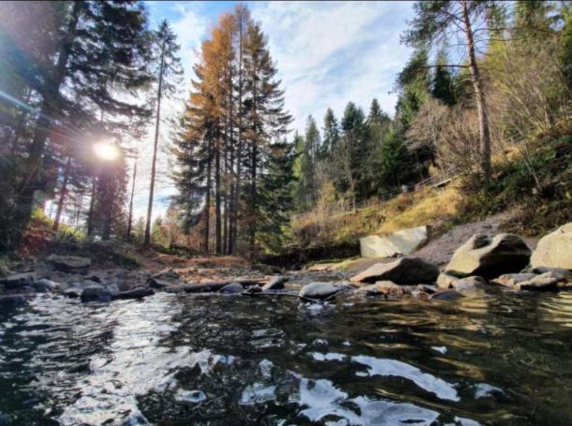 Esti Apartament Nad Jeziorem Czorsztynskim Bagian luar foto